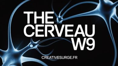 le Cerveau W9
