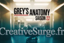 Grey's Anatomy Saison 22