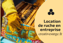 ruches en entreprises